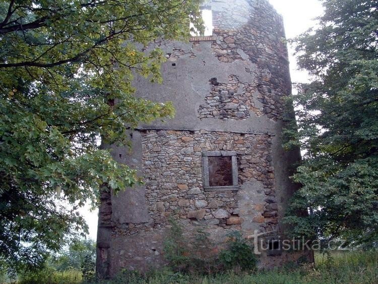 Pic chauve : torse de moulin à vent