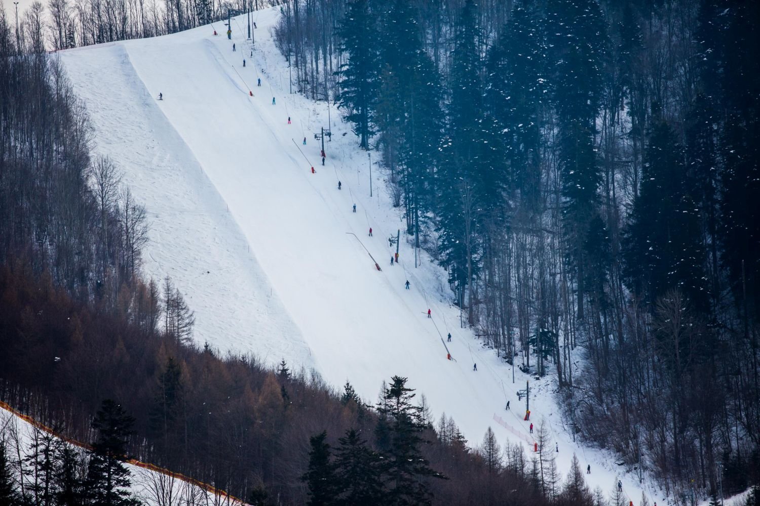 Ski resort Levočská Dolina