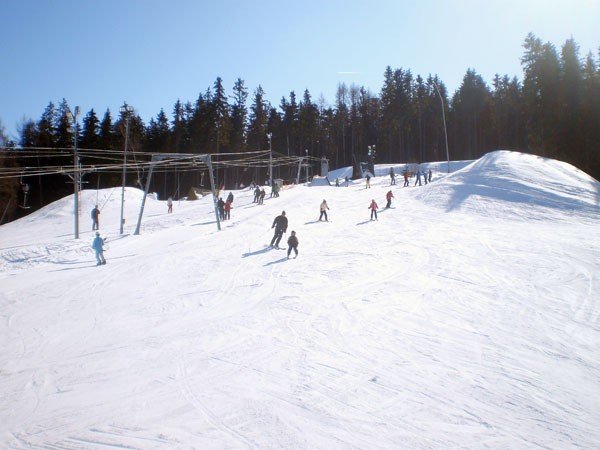 Telesilla Smržovka