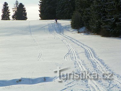 Skiing on the Fryšava Glacier