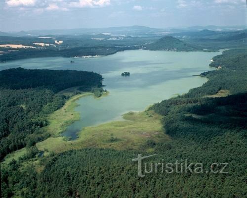 Moss lake or romance on a toboggan