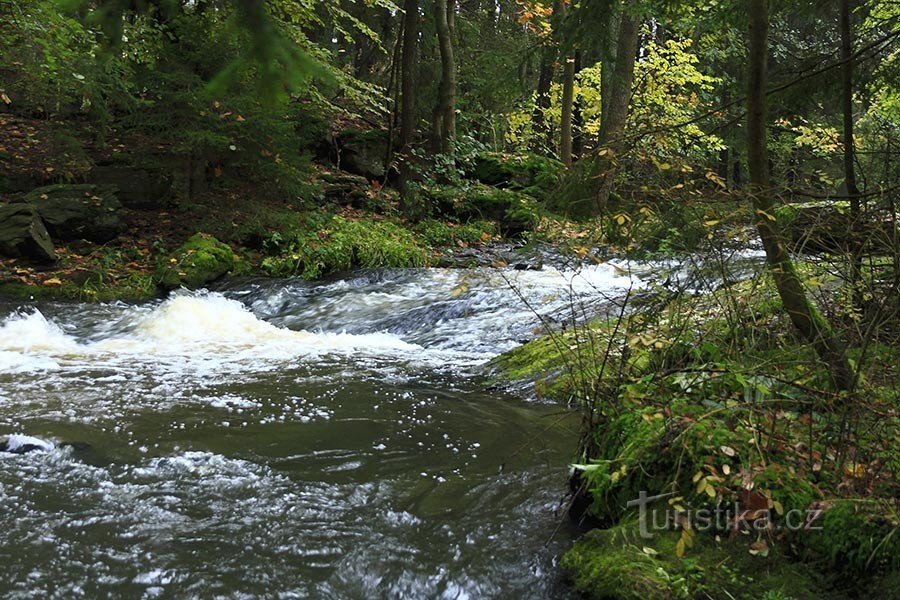 Den magiske flod Doubrava i efterårsstemning
