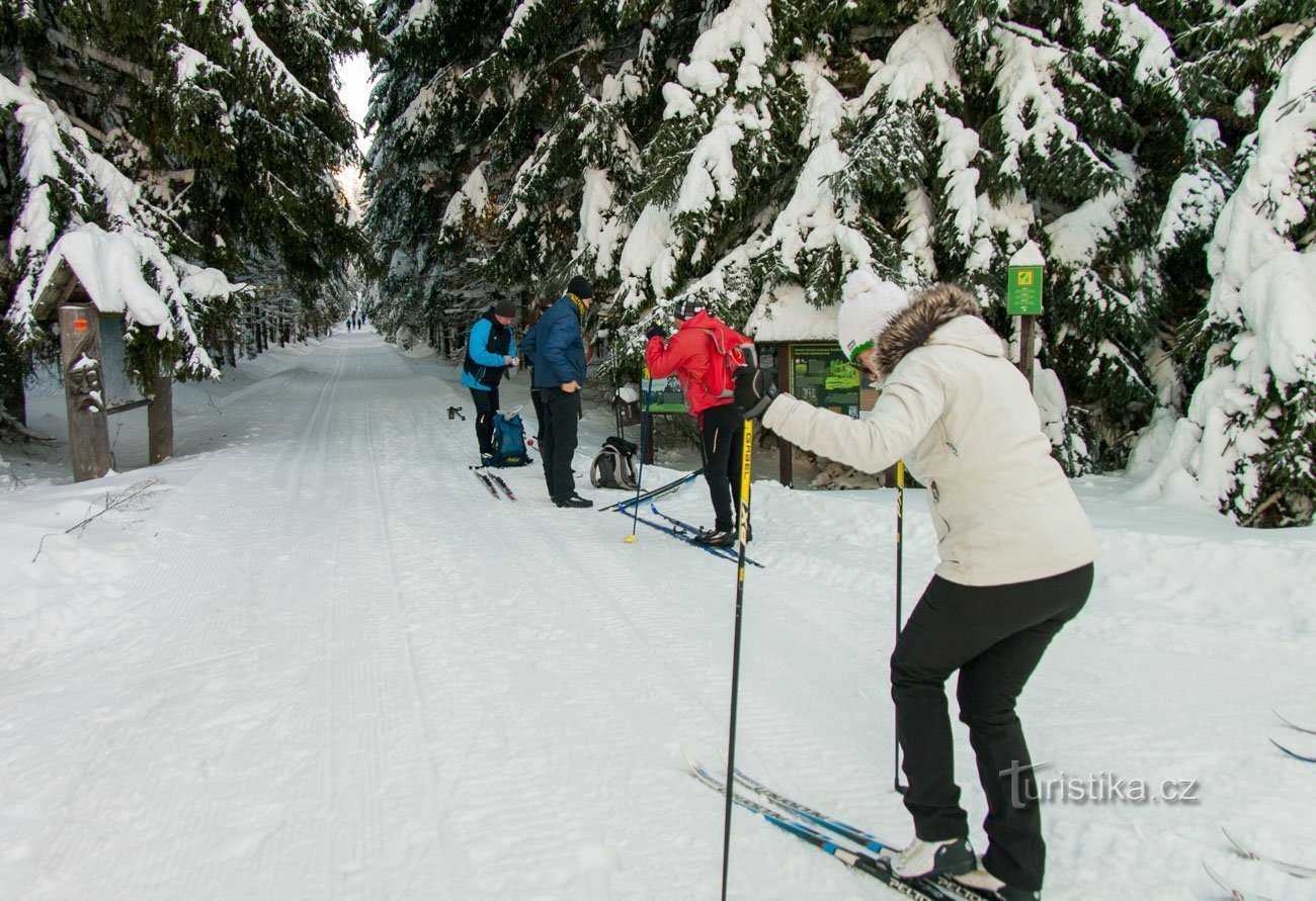 Mutter zieht ihre Langlaufskier an