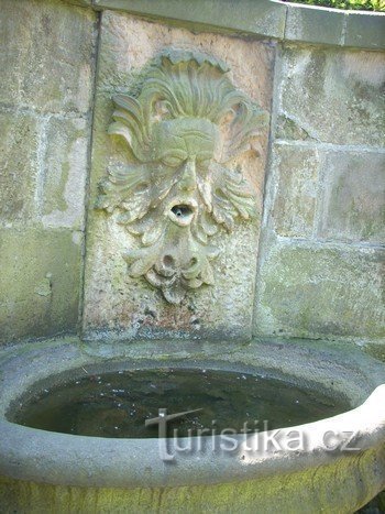 Una piccola fontana con un mascherone