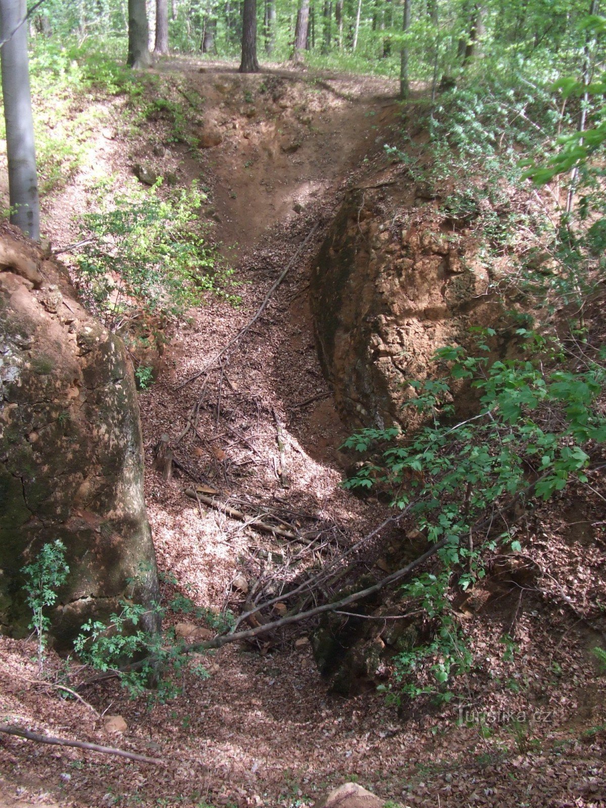 pequeña madrastra