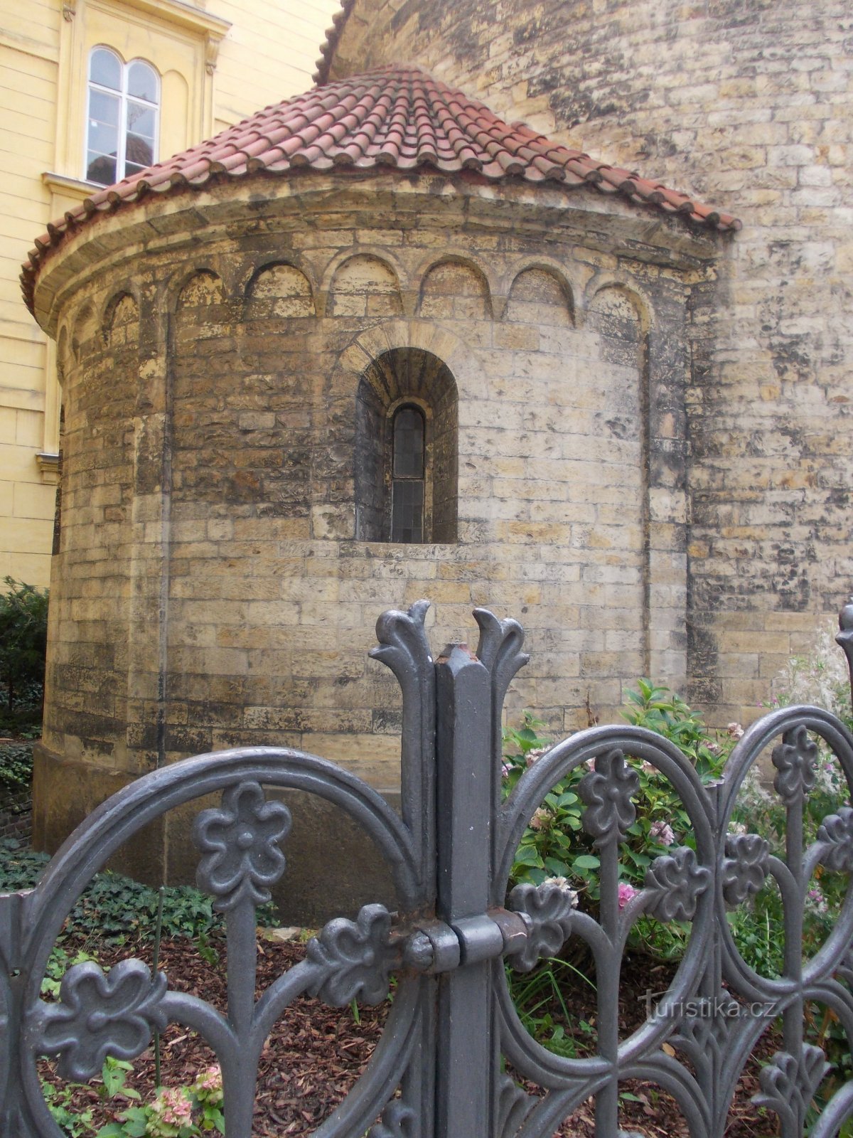 majhna, polkrožna aspida rotunda