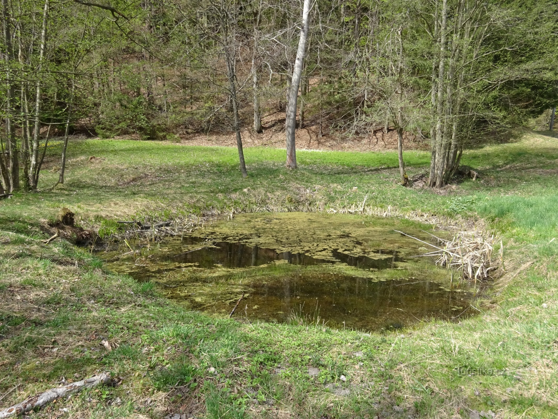 une petite piscine