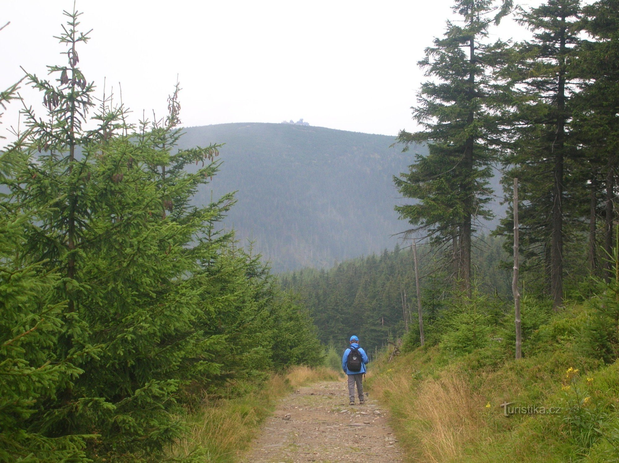 Malá Úpa - Sněžka - Velká Úpa