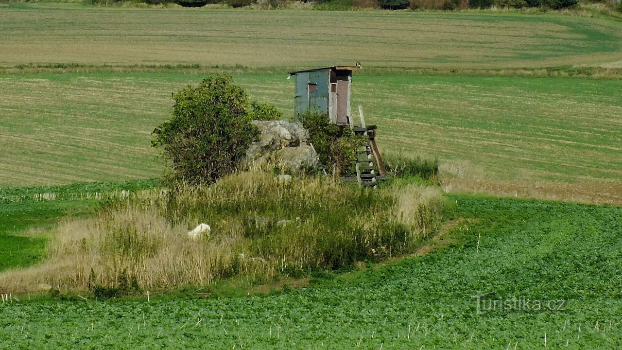 Malé Číčovice, paholaisen ystävä