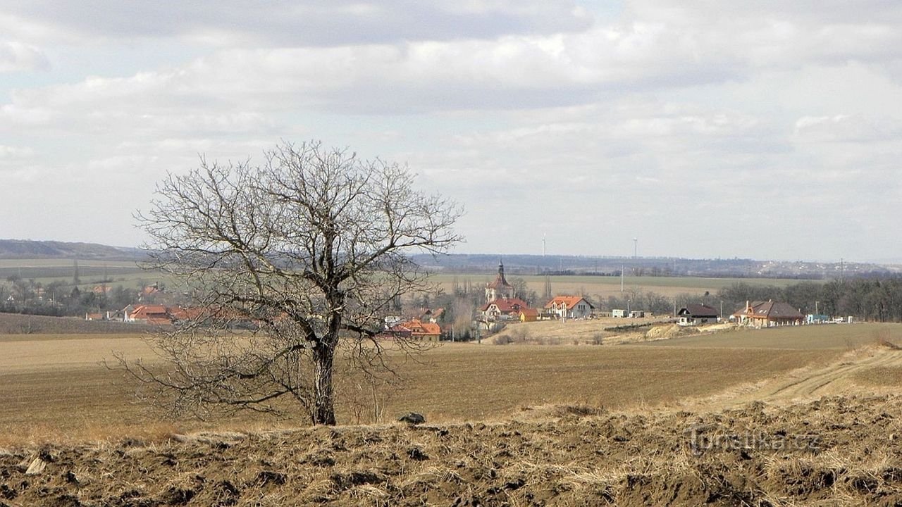 Malé Čičovice від Salvátor