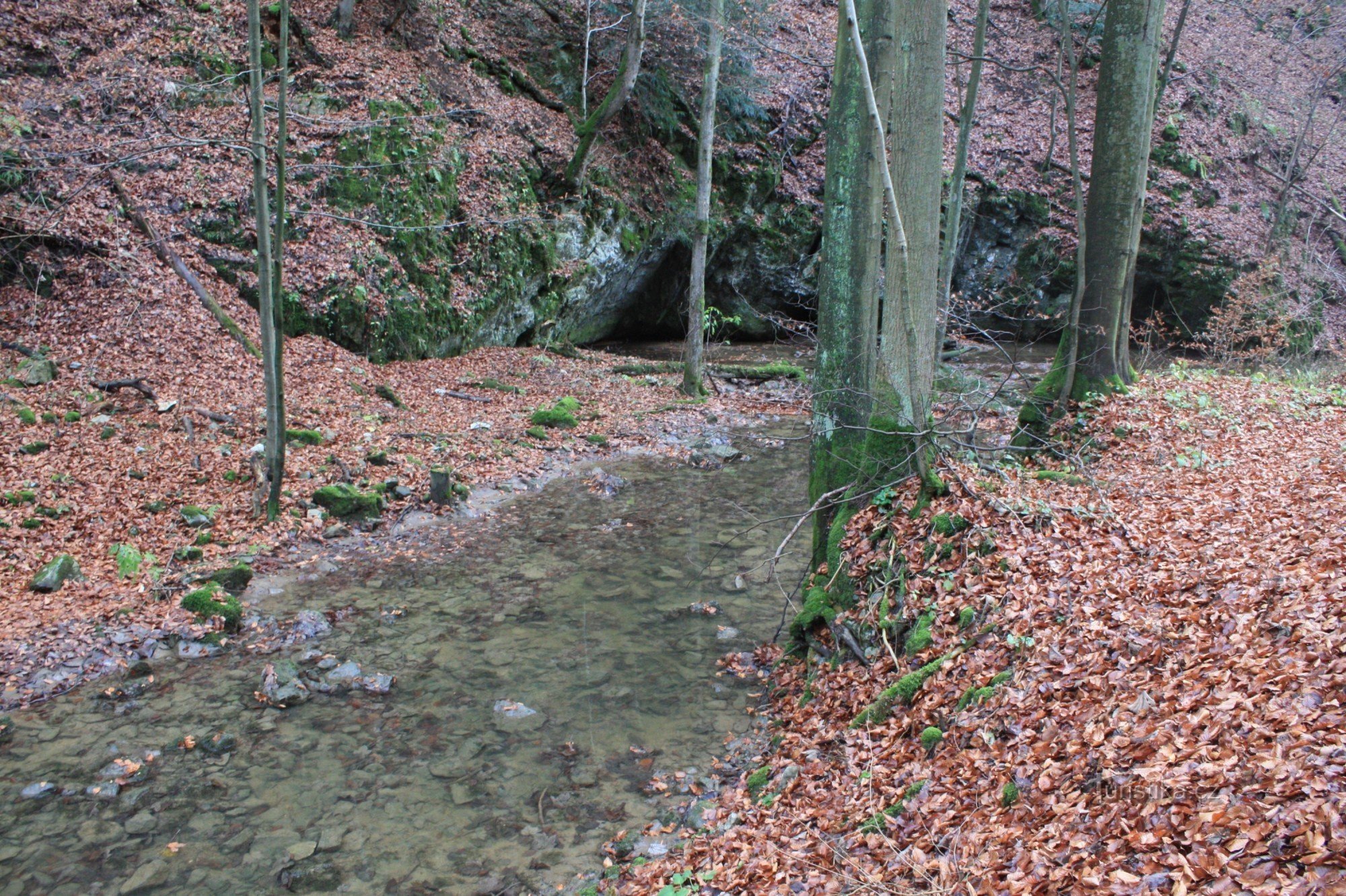 Small sinking of the Punkva in the Pusté žlebu