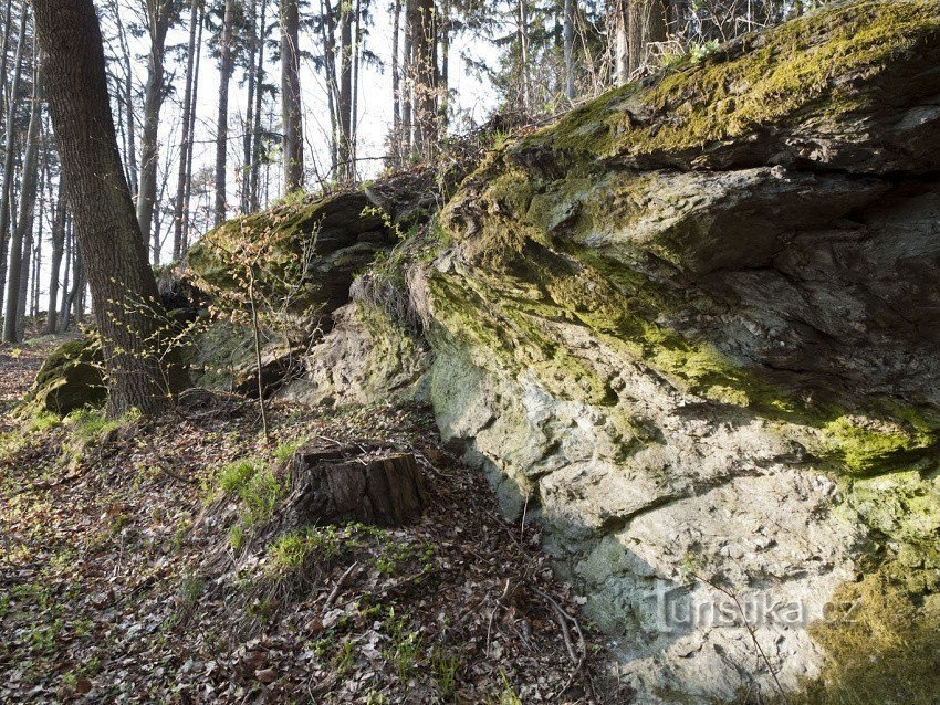 Kleine Felsen auf dem Weg zum Baum