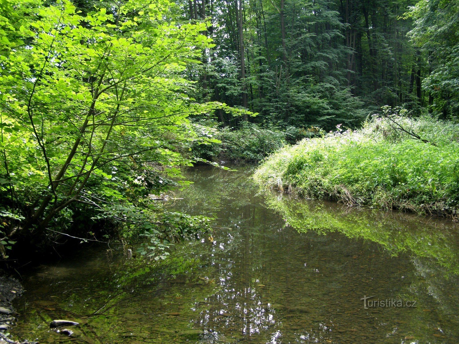 Picturesque corners are an oasis of calm