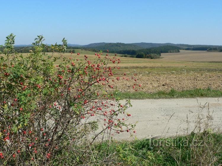 Picturesque surroundings of the village