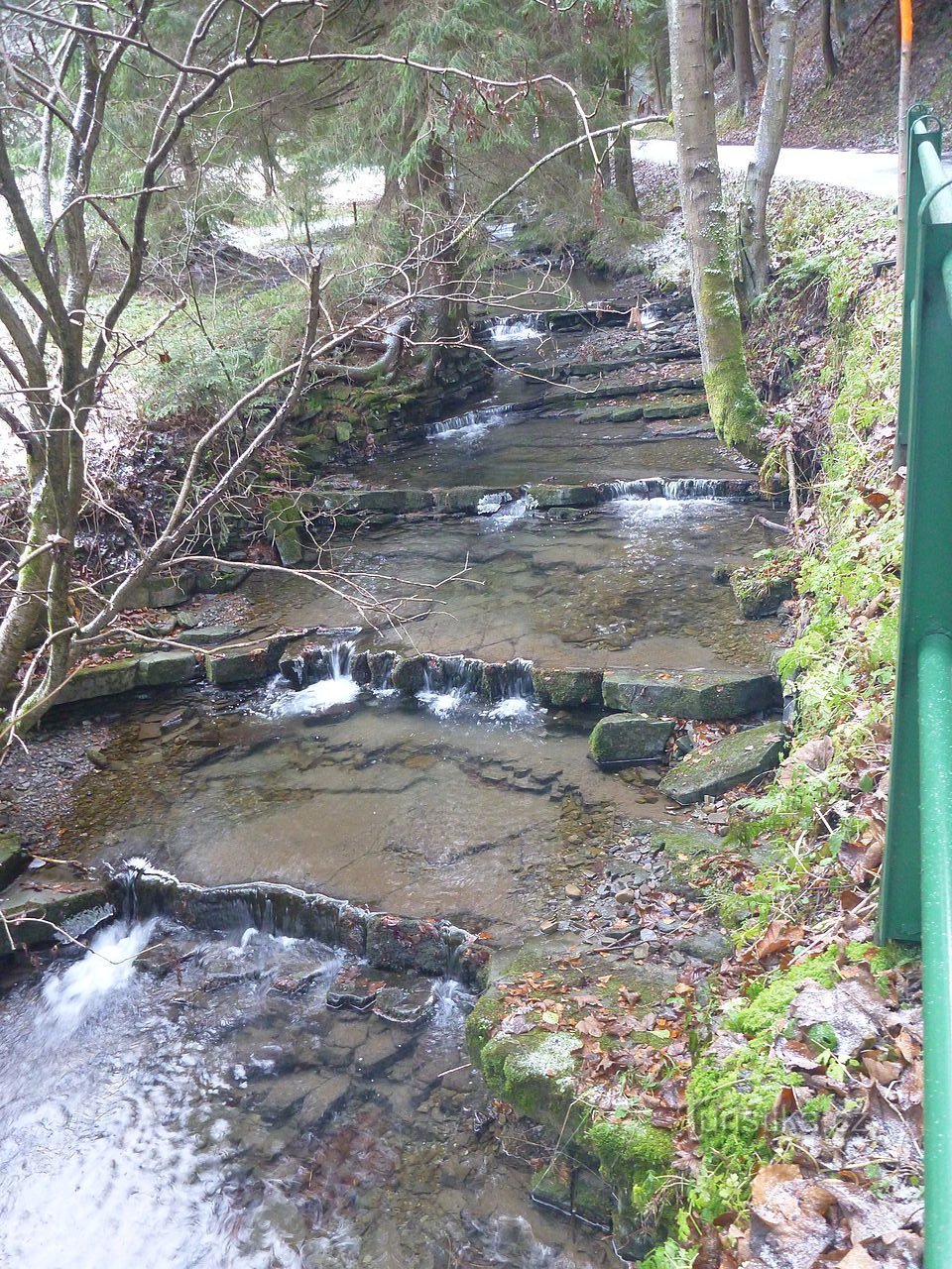 Slikovita dolina Lúčke i spomenik vrlo važnom stablu.