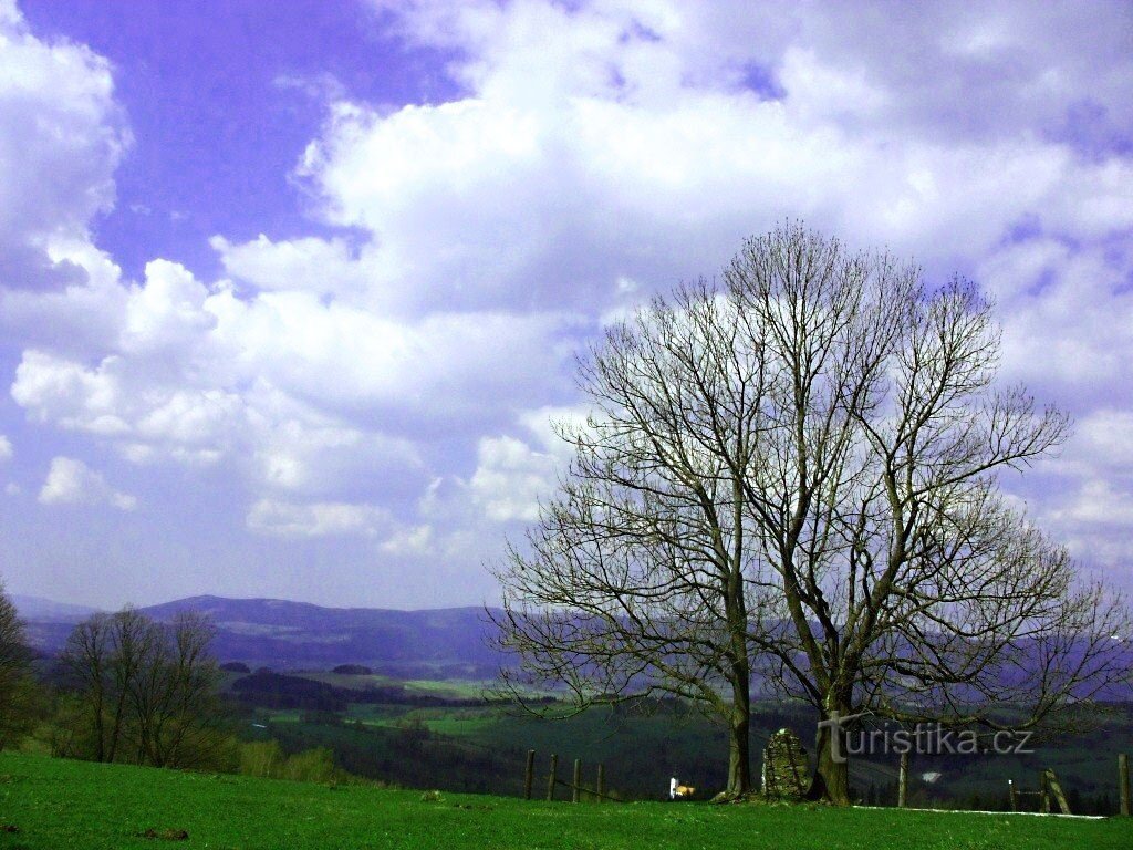 Vistas pitorescas sobre Branna