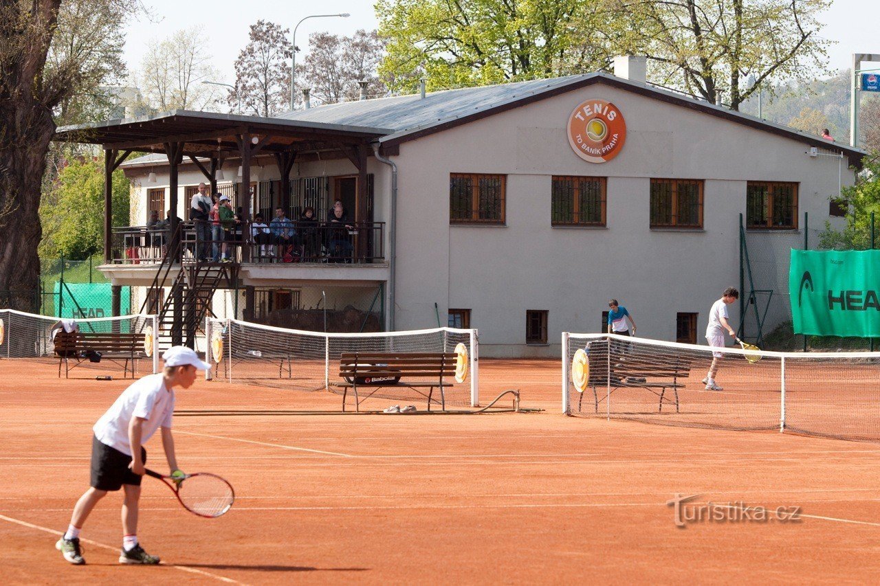 Mici jucători de tenis