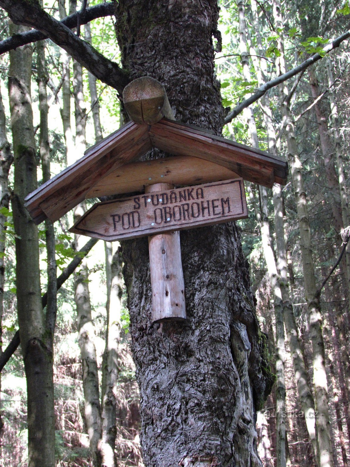 Maliník - bunar pod Oborohom