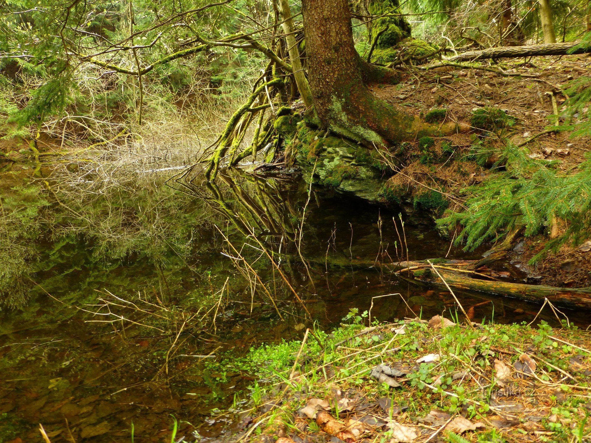 Malojestědské pleso