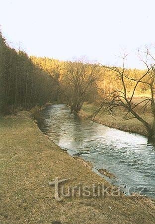 Malše - river