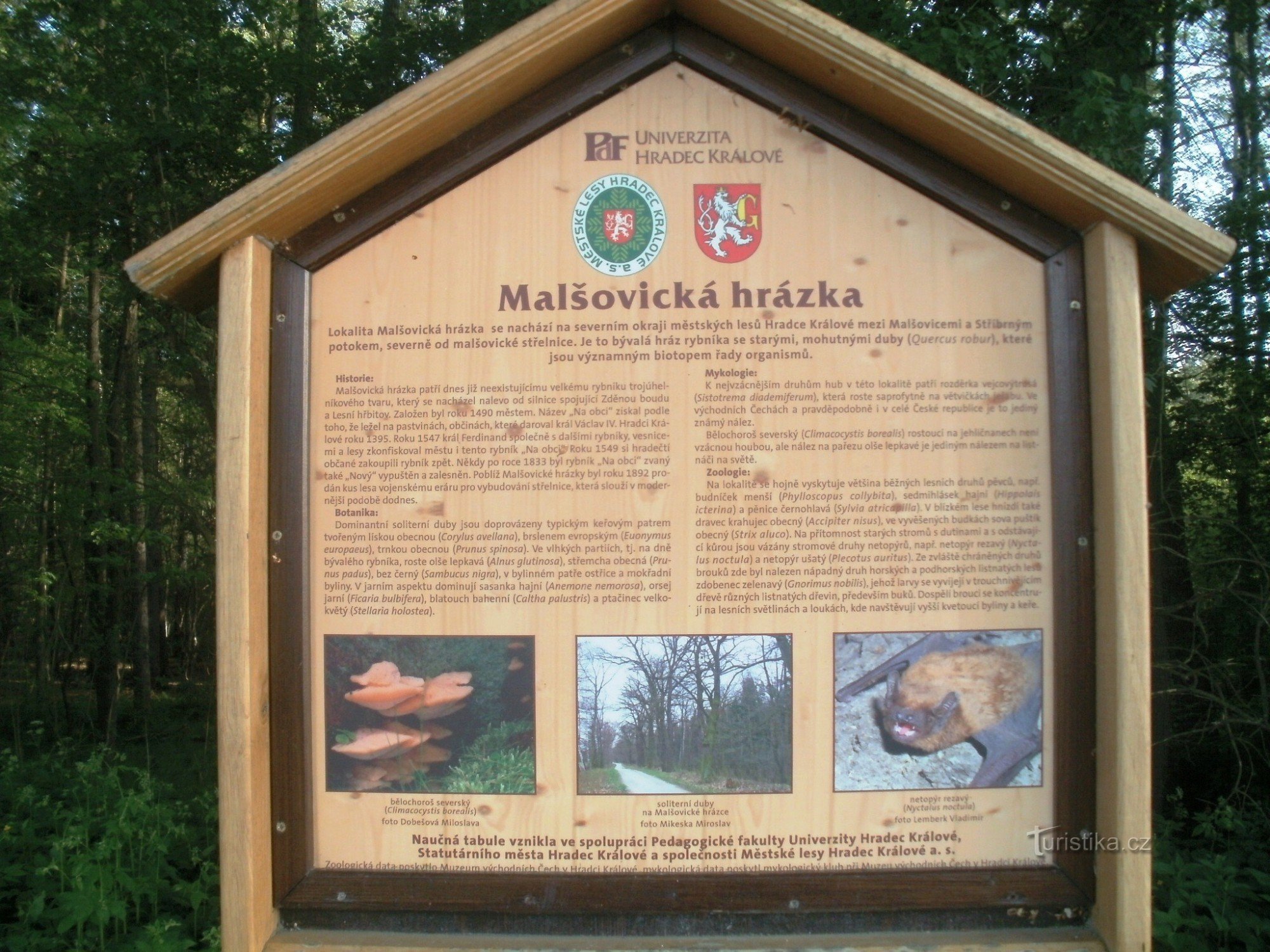 Malšovick gát - Hradecké lesy