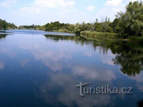 MALŠOVICE ΚΑΡΠΟΣ VIII.