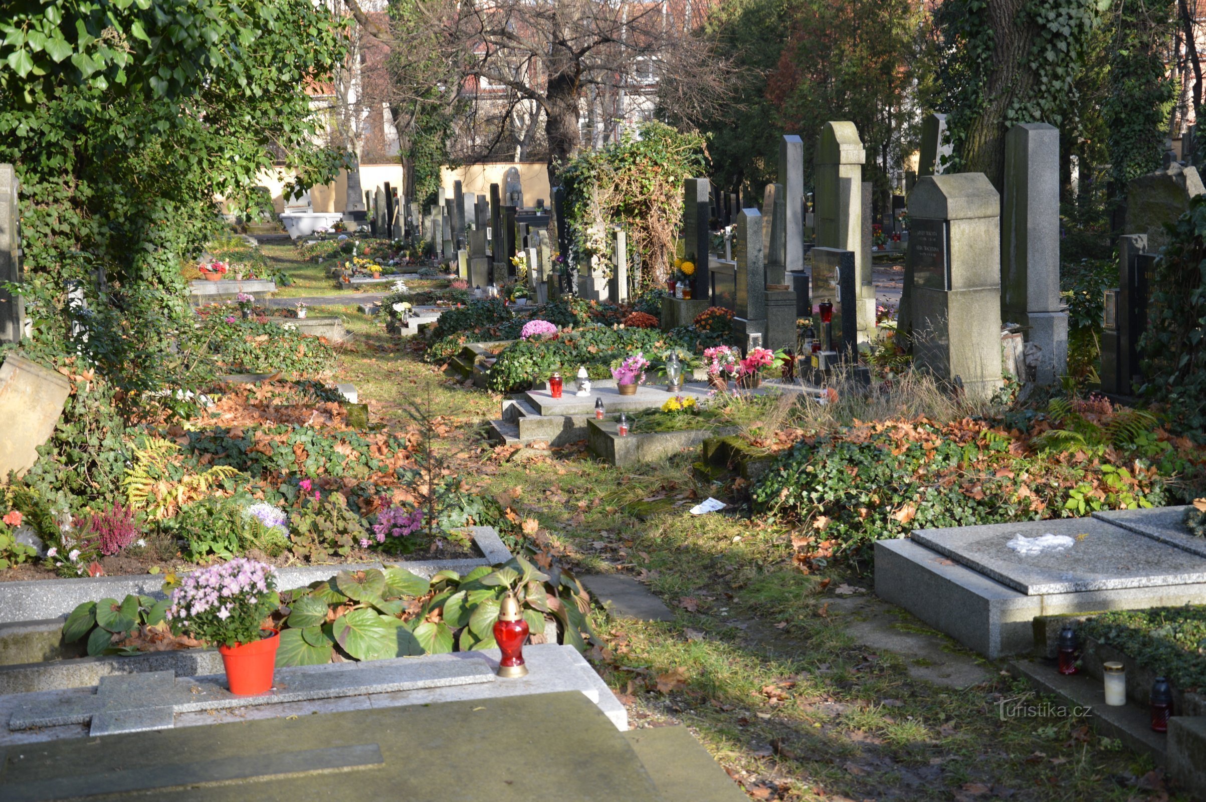 Malvazinka - 墓の列