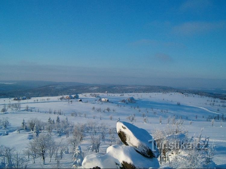 Маленькая роща: со скалы Эдварда