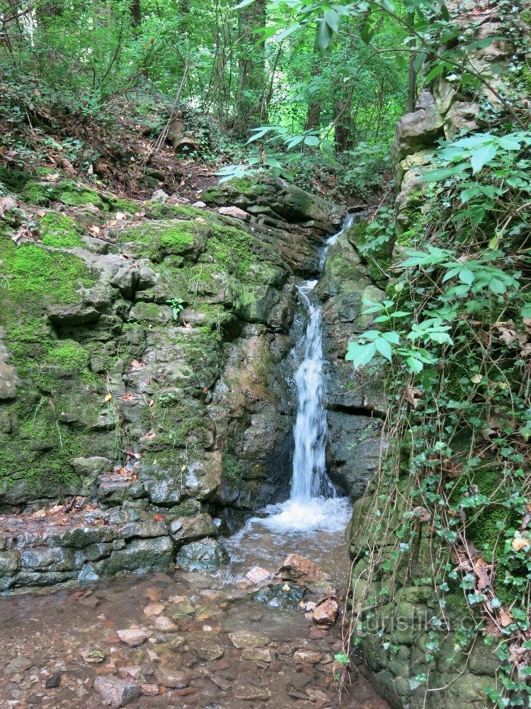 mala gornja stepenica