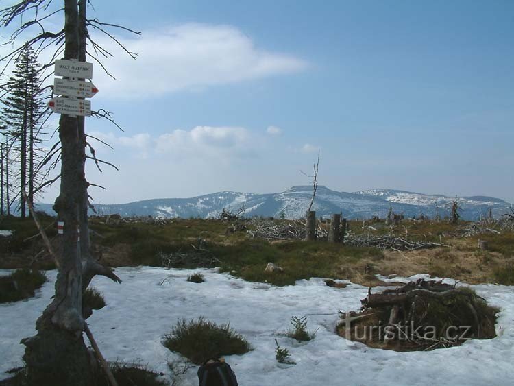 Il piccolo Jezernik