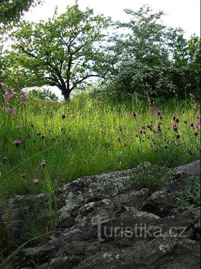 Маленькая косилка