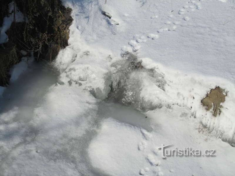 pieni pienillä, mutta miellyttää myös tassuja