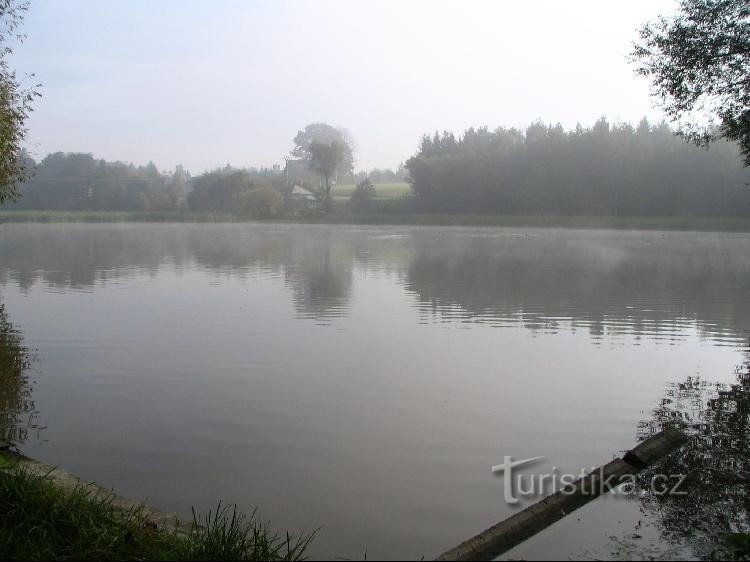 Um pequeno lago de campo