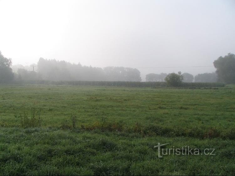 A small field pond