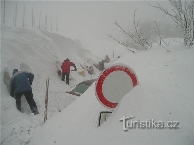 pequeño sisak