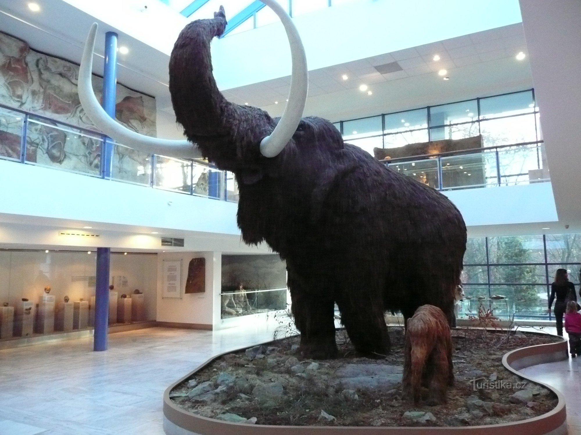 mamut-