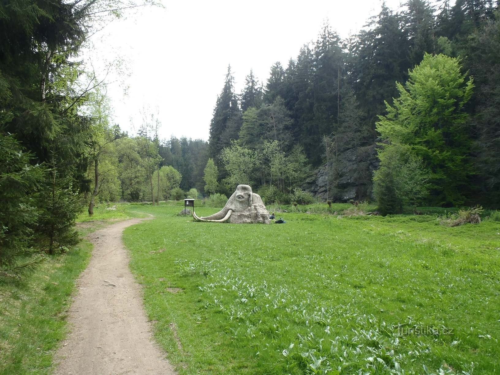 Mammut - Blick von Hamrů - 5.5.2012