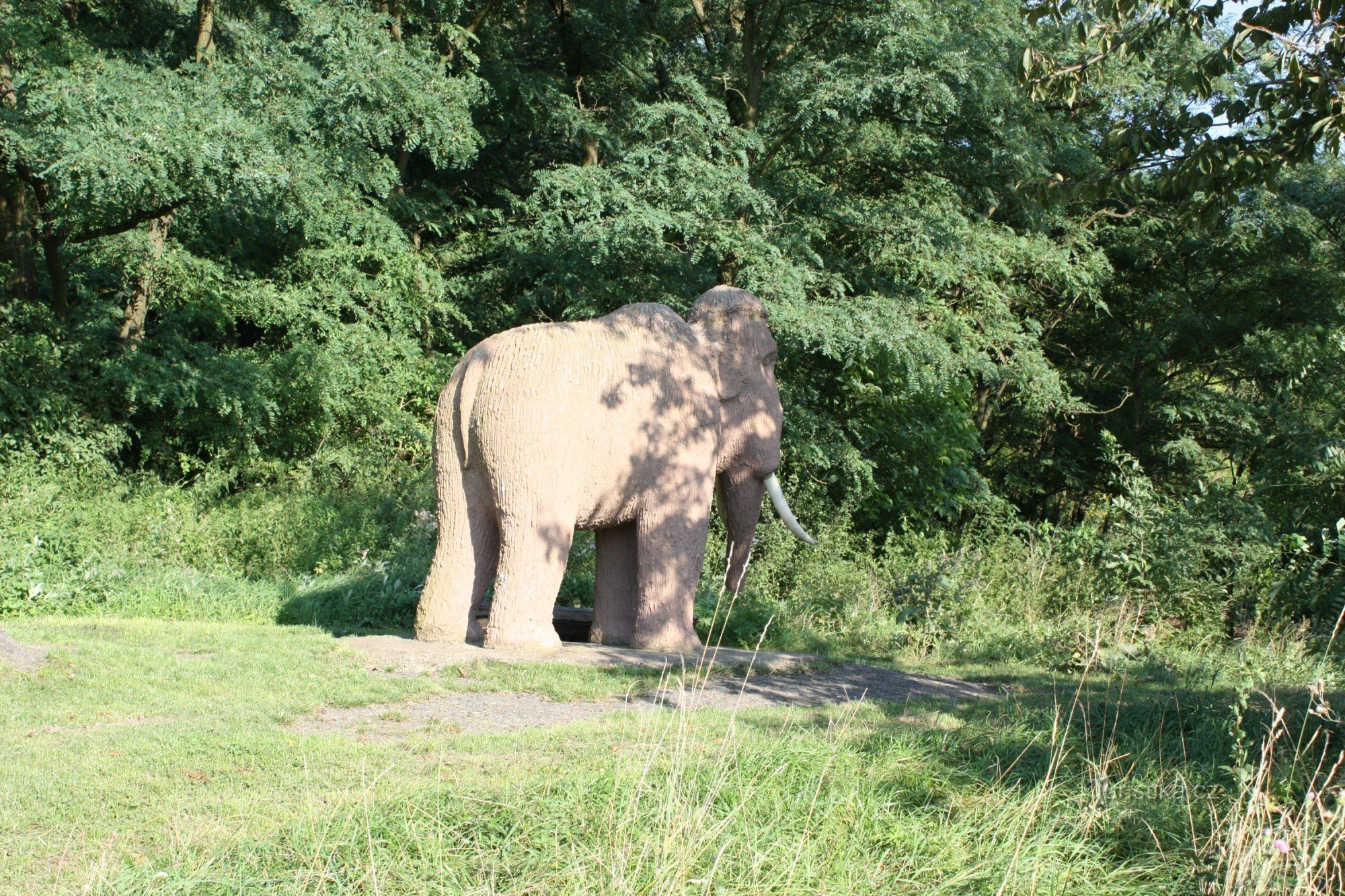 マンモストム