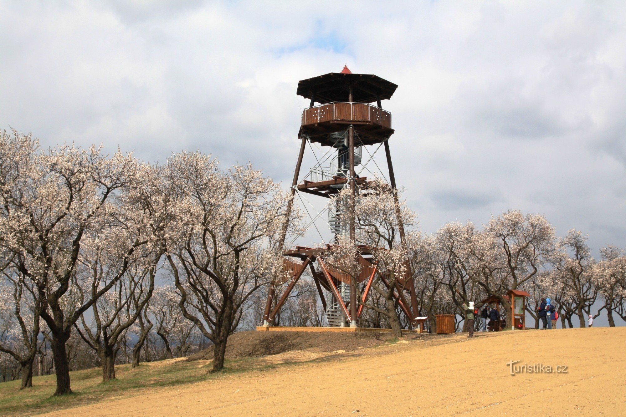 Torre mirador de almendras