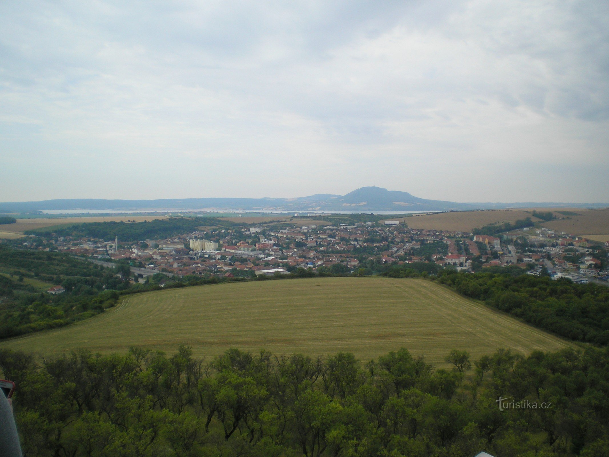 Almond orchard and Hustopeče