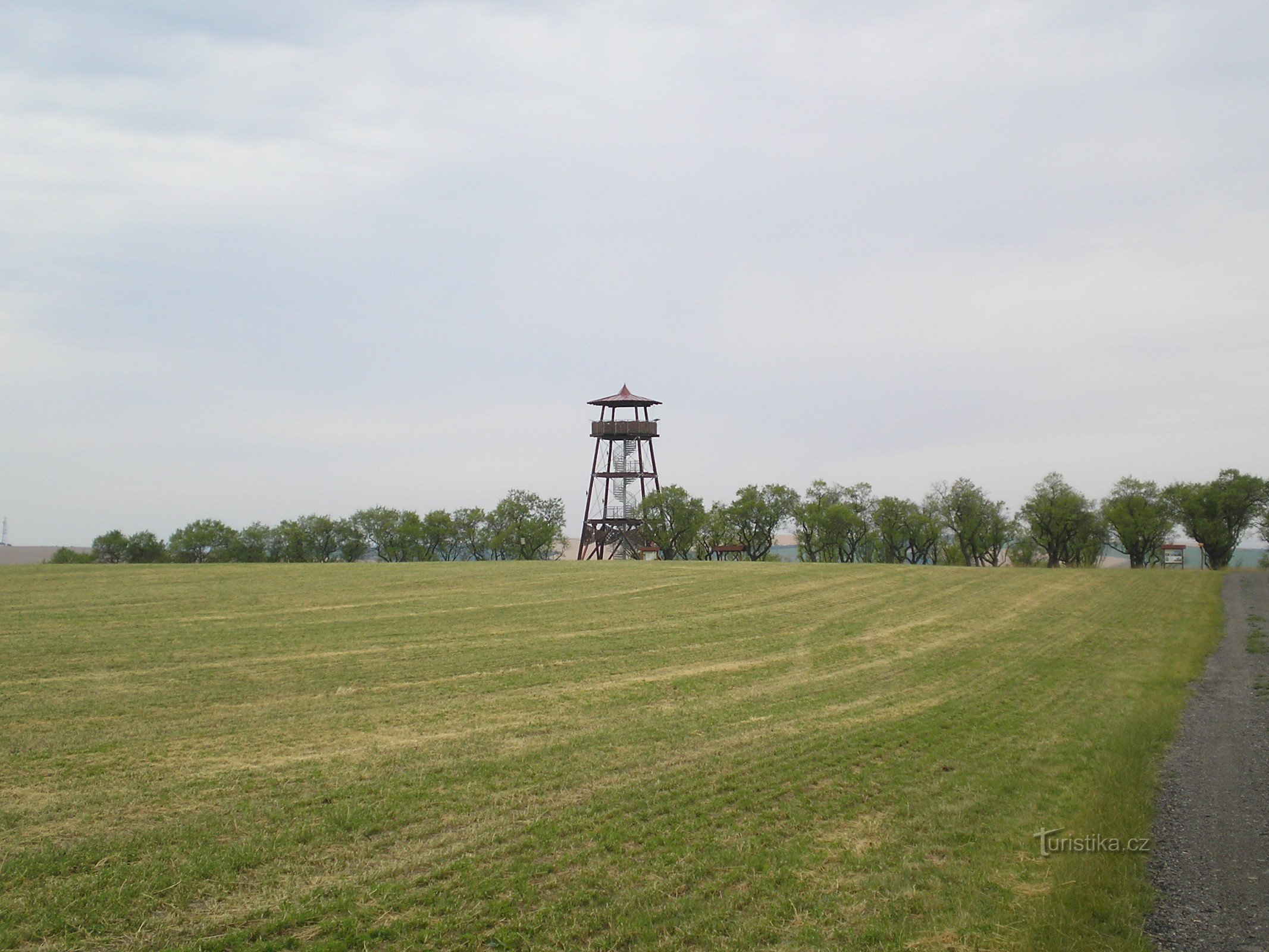 Pomar de amendoeiras com torre de vigia