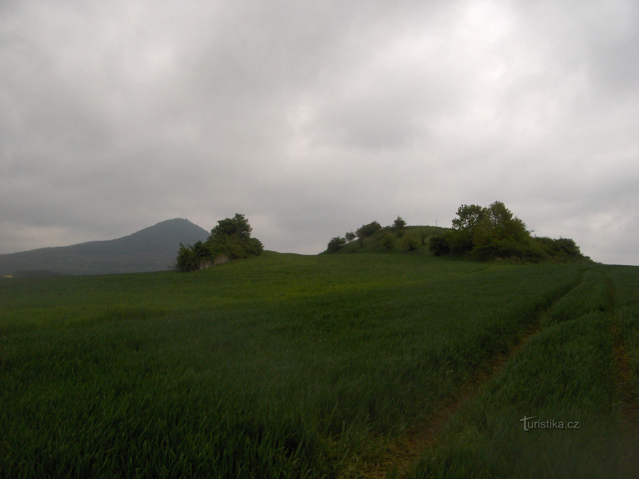 Mannstein-Stein