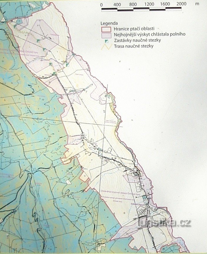 Carte des bons de commande