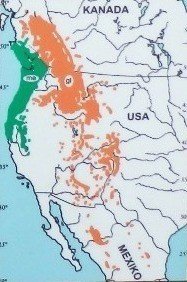 Mapa de distribución natural del abeto de Douglas