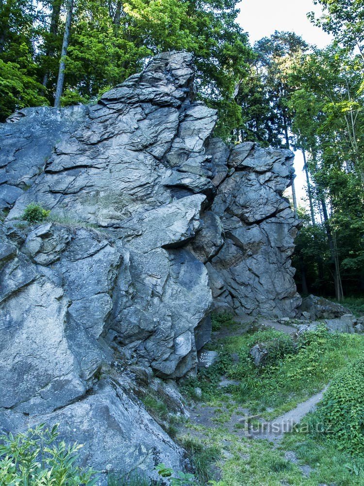 roca mariana