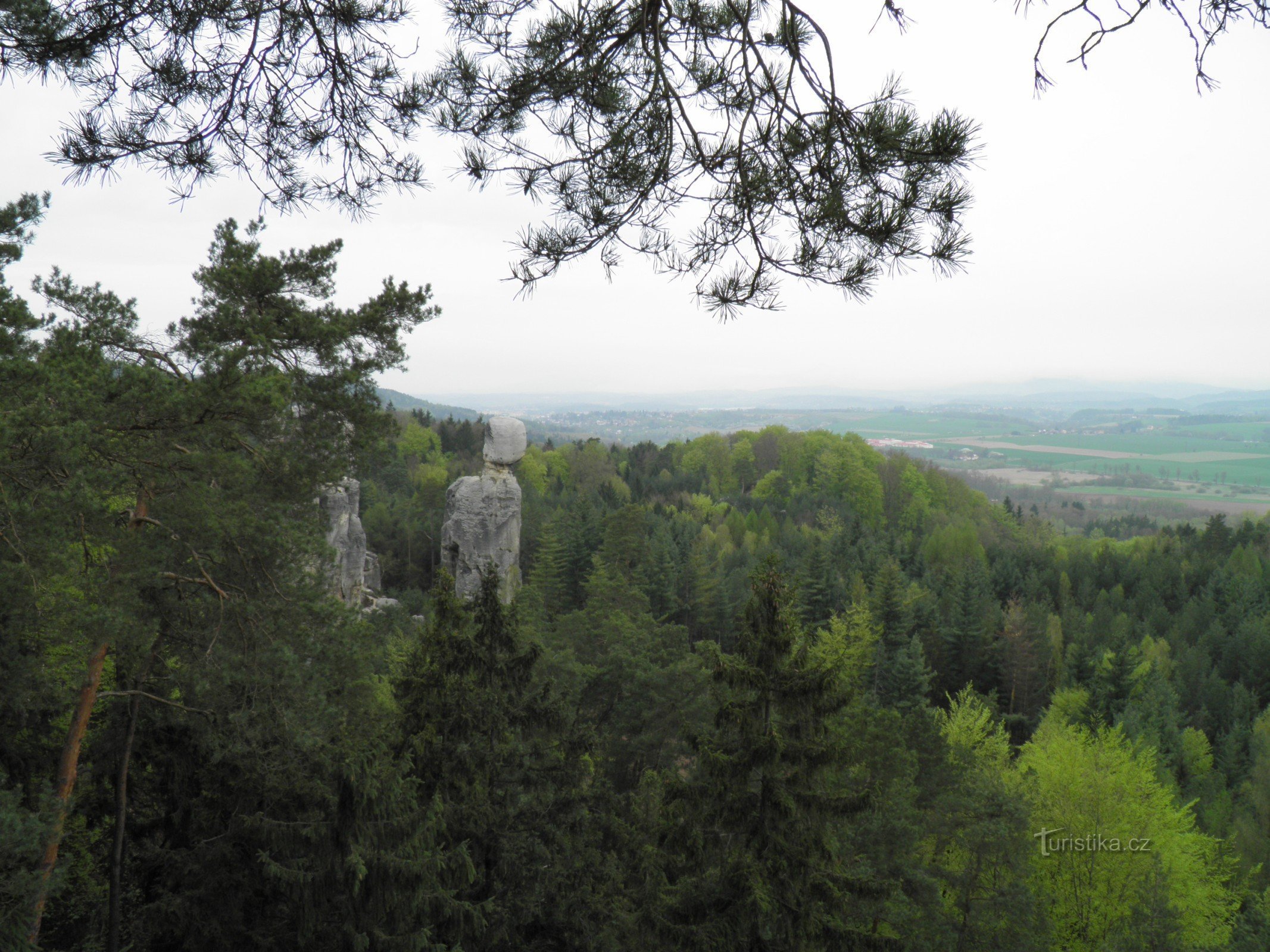 Marian Lookout dans le paradis de Bohême.