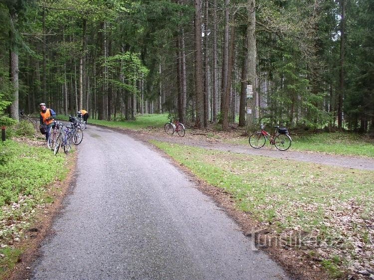 Het bos van de Markét is een splitsing in de weg