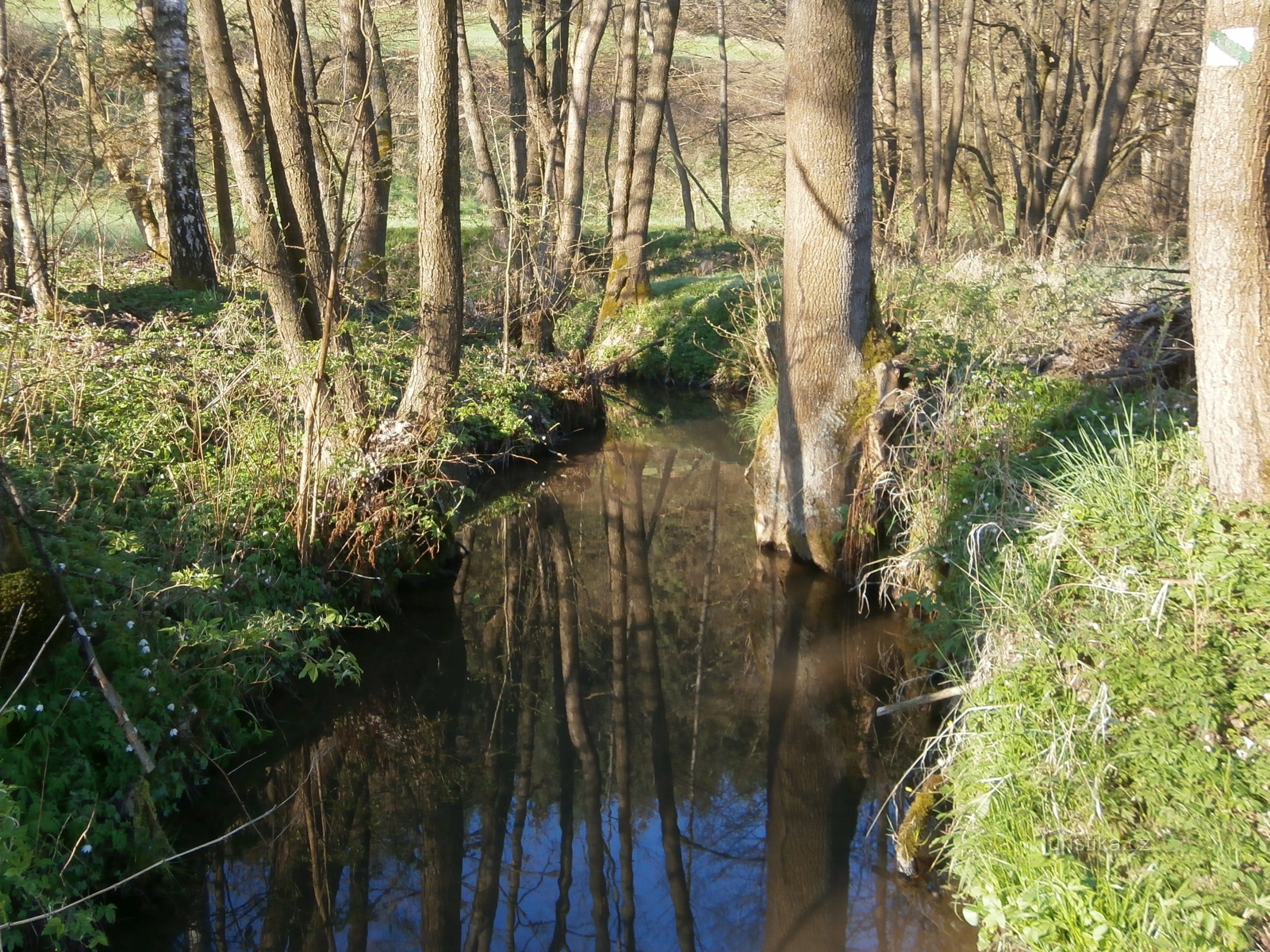 Maršovka (Libňatov)