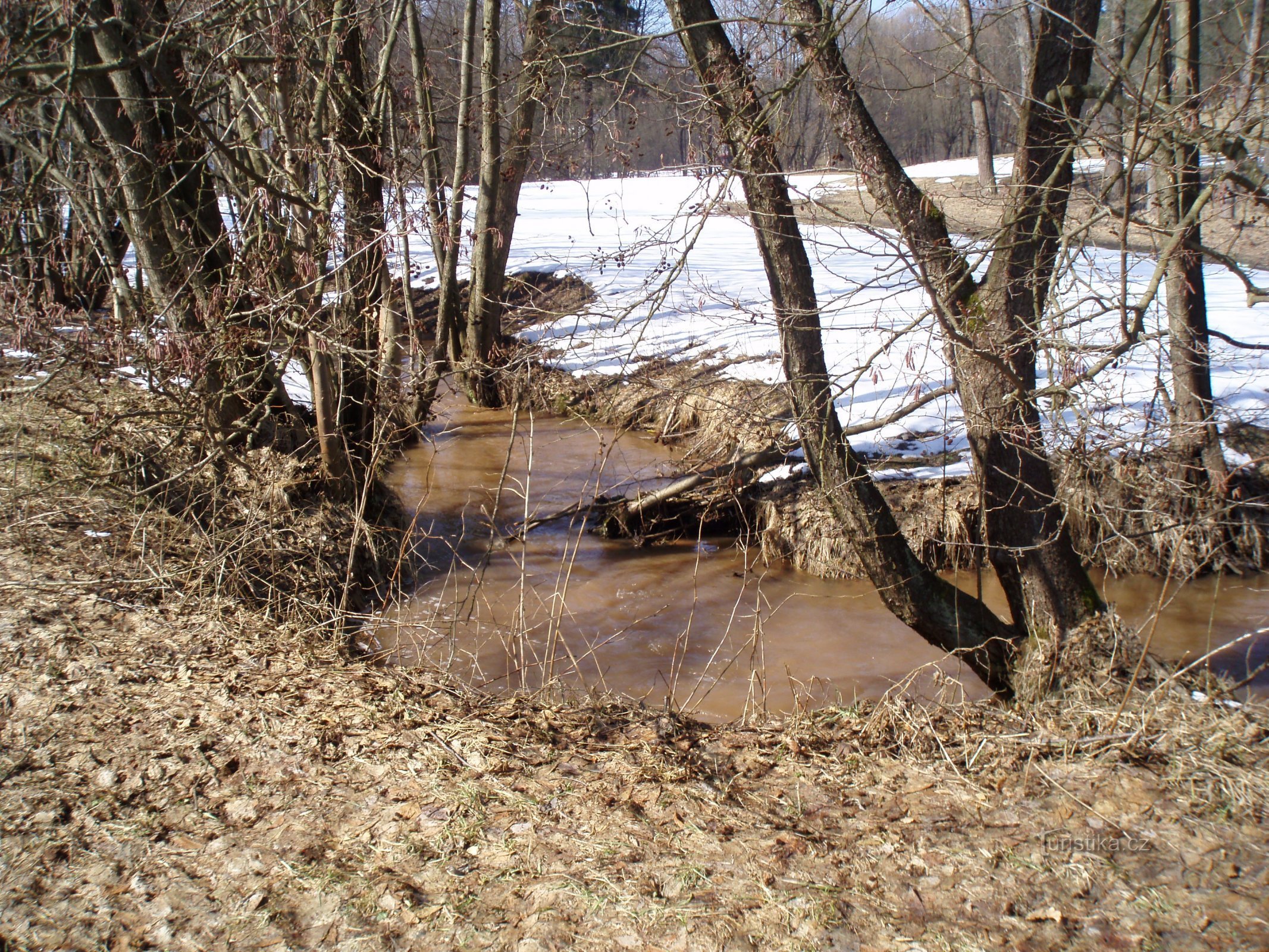 Maršovka (Libňatov)