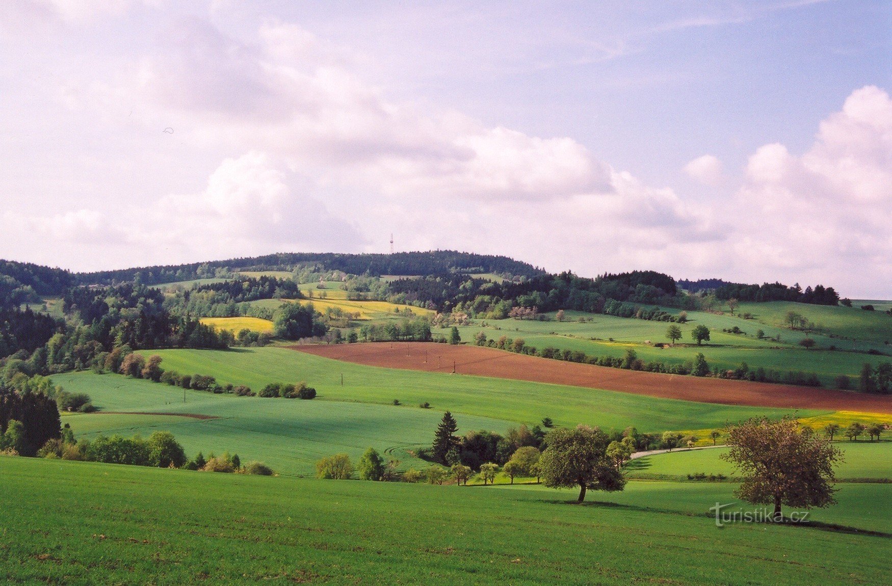 The massif of the Upper Forest with a lookout tower